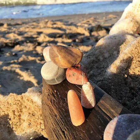 Boeck Am 8 * 글로페