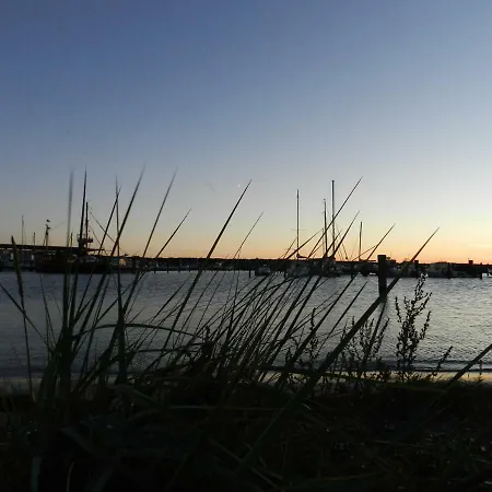 Boeck Am 8 글로페